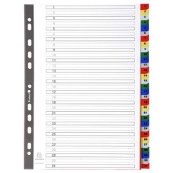 Register für Ordner und Ringbücher, aus PP, 31 Positionen, Taben 1-31, für DIN A4