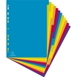 Register mit farbigen Taben aus PP 300µ, 12-teilig, für DIN A4 Maxi - Campus
