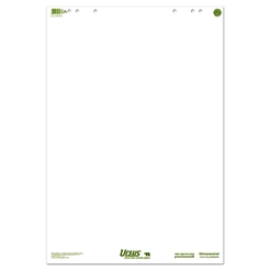 Ursus Green Flip Chart 68x99cm 20 Blatt 80g/qm blanko