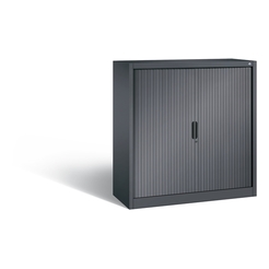 C+P Sideboard mit Rollladen Omnispace, H1230xB1200xT420mm