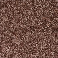 Schmutzfangmatte Eazycare 120x180cm braun