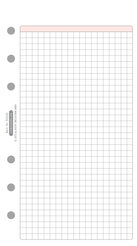 Chronoplan Formular Karo-Blatt Midi