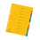 Herlitz Register A4 Colorspan XXL 10-teilig farbig