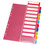 Herlitz Register A4 PP 1-10 mit Indexblatt farbig