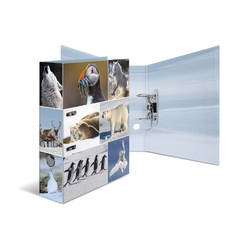 HERMA Motiv-Ordner A4 Animals - Eiswelten
