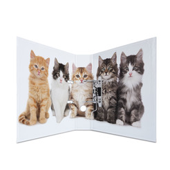 HERMA Ordner A4 Katzen