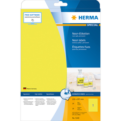 HERMA SPECIAL A4 Neon-Etiketten