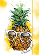 RNK Zeichenmappe "Ananas"